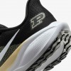 Purdue Pegasus 41