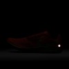 Nike Zoom Rival XC 6
