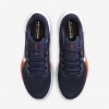 Denver Broncos Pegasus 41