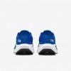 Seattle Seahawks Pegasus 41