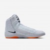 Nike Inflict 4 SE