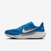 Detroit Lions Pegasus 41