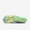 Nike Maxfly 2