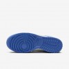 Nike Dunk Low Next Nature
