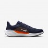 Denver Broncos Pegasus 41