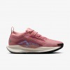 Nike Pegasus Trail 5 GORE-TEX