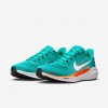 Miami Dolphins Pegasus 41