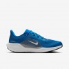 Detroit Lions Pegasus 41