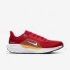 San Francisco 49ers Pegasus 41