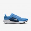 Tennessee Titans Pegasus 41
