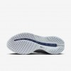 Nike Pegasus Premium