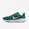 Philadelphia Eagles Pegasus 41