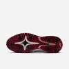 Nike Victory Tour 4