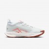 Nike Pegasus Trail 5 GORE-TEX