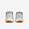 Nike Air Pegasus 2005