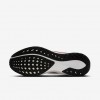 Cleveland Browns Pegasus 41