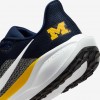Michigan Pegasus 41