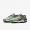 Nike Free Golf NN