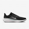 Las Vegas Raiders Pegasus 41