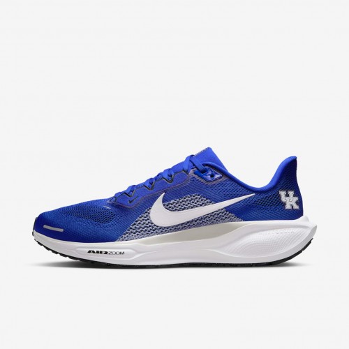 Kentucky Pegasus 41