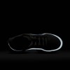 Nike Pegasus Premium