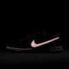 Nike SB Dunk Low Pro