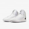 Nike Inflict 4