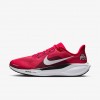 Ohio State Pegasus 41