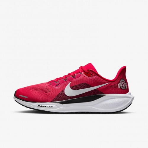 Ohio State Pegasus 41