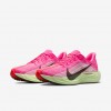Nike Pegasus Plus