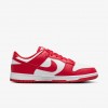 Nike Dunk Low Next Nature