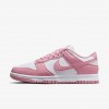 Nike Dunk Low Next Nature