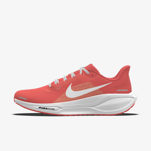 Nike Pegasus 41 By