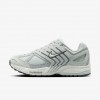 Nike Air Pegasus 2005
