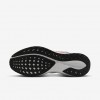 Atlanta Falcons Pegasus 41