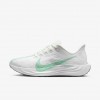 Nike Pegasus Plus