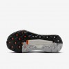 Nike Wildhorse 10
