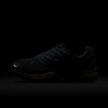 Nike Air Pegasus 2005