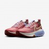 Nike Zegama 2