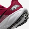Arkansas Pegasus 41