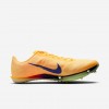 Nike Maxfly 2