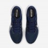 Dallas Cowboys Pegasus 41