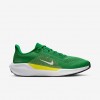 Oregon Pegasus 41