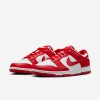 Nike Dunk Low Next Nature