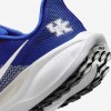 Kentucky Pegasus 41