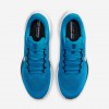 Carolina Panthers Pegasus 41
