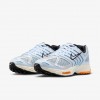 Nike Air Pegasus 2005