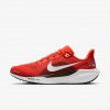Cleveland Browns Pegasus 41