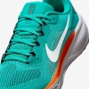 Miami Dolphins Pegasus 41