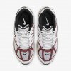 Nike Air Pegasus 2005